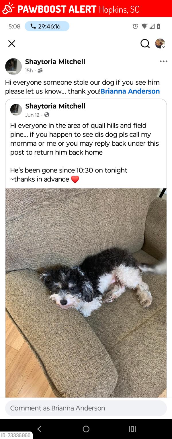 Lost Male Dog last seen Hopkins Quail hills area hickory ridge, Hopkins, SC 29061