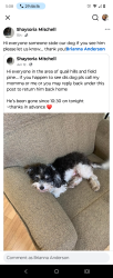 Lost Male Dog last seen Hopkins Quail hills area hickory ridge, Hopkins, SC 29061