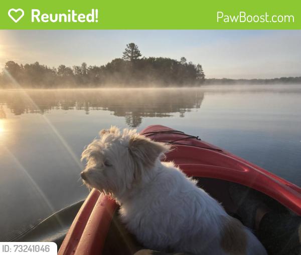Reunited Male Dog last seen 40th Ave W and 6th St, Duluth, MN 55807