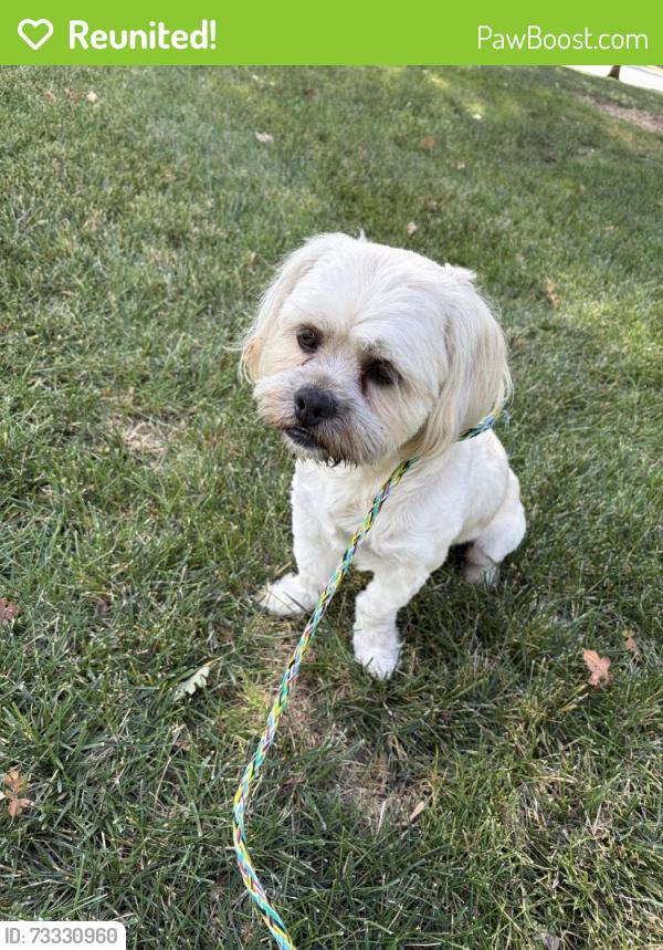 Reunited Male Dog last seen Bellaterra Dr, Elk Grove, CA 95757, USA, Elk Grove, CA 95757
