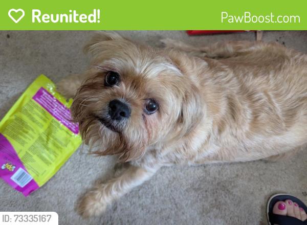 Reunited Female Dog last seen Nimmo/Southgate neighborhood, Virginia Beach, VA 23456