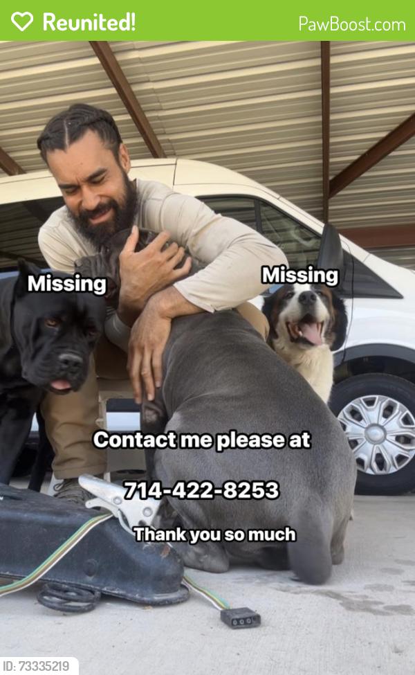 Reunited Male Dog last seen Carver / highway 28, San Pablo, NM 88005