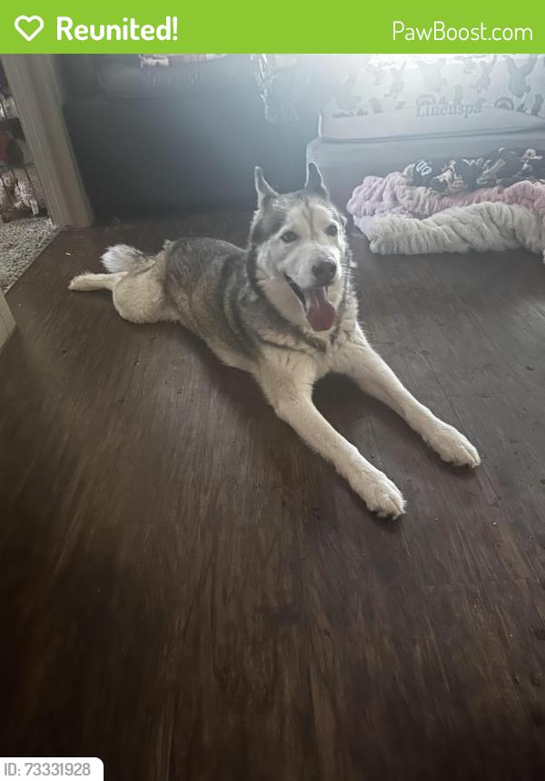 Reunited Male Dog last seen Debbie Lane - Villa di Lucca Apt, Mansfield, TX 76063