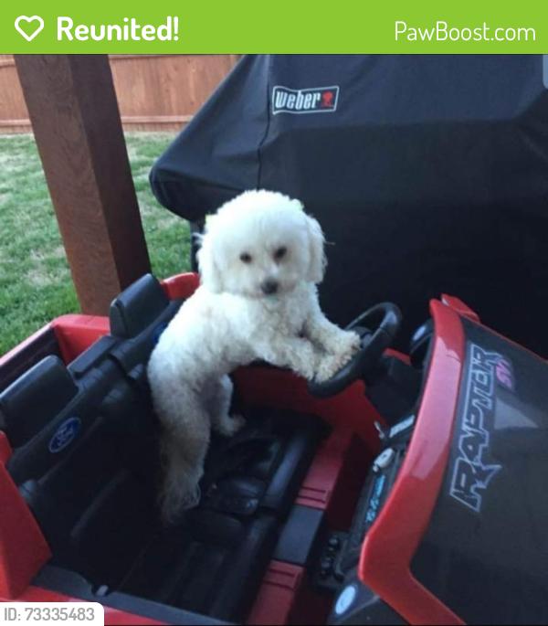 Reunited Female Dog last seen Alton Adam's - Windchase, Waxahachie, TX 75165