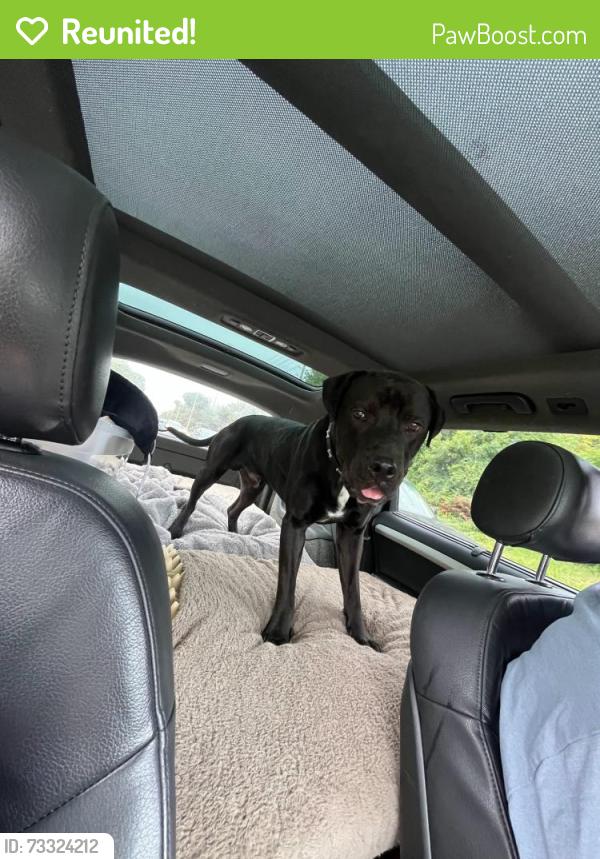 Reunited Male Dog last seen Near Victoria St e, Whitby, ON L1N 0E4