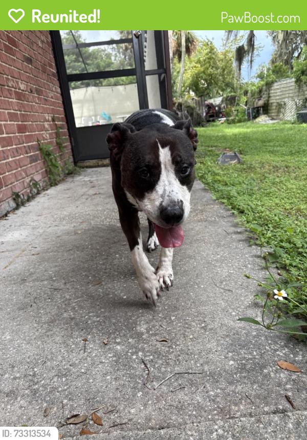 Reunited Female Dog last seen Crooms, Sanford, FL 32771