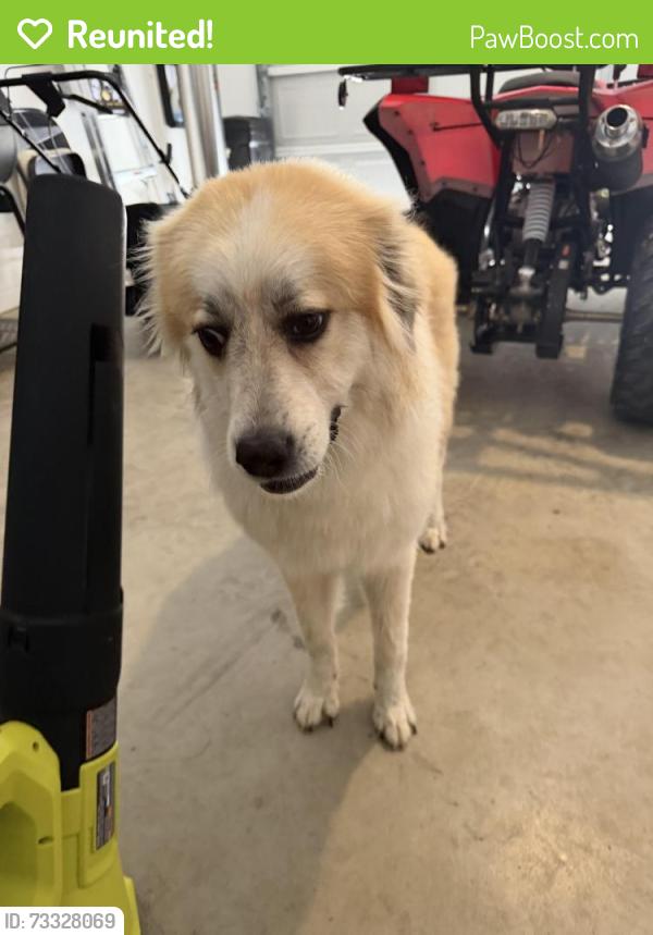 Reunited Female Dog last seen Idk some where is sealy, Sealy, TX 77474