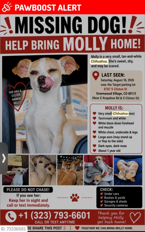 Lost Female Dog last seen Greenwood village, Colorado, Greenwood Village, CO 80121