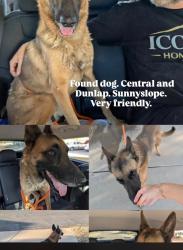 Reunited Male Dog last seen Central Ave and Dunlap, Phoenix, AZ 85020