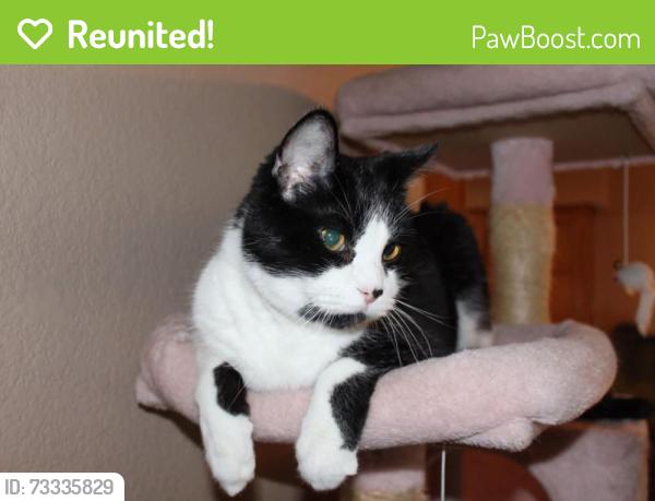 Reunited Male Cat last seen 101st between Lynn lane and County Line, Broken Arrow, OK 74012