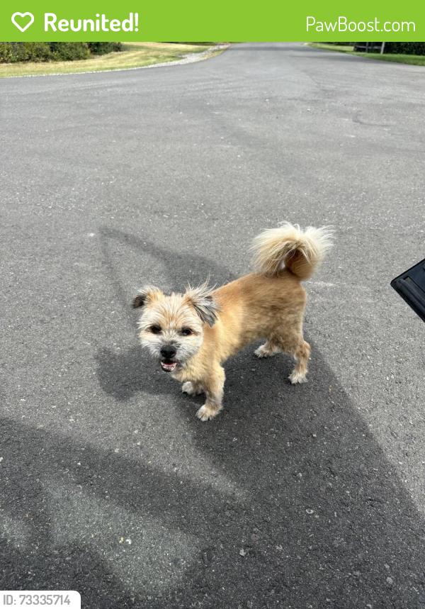 Reunited Unknown Dog last seen Near sunset blvd, Bozeman, MT 59715