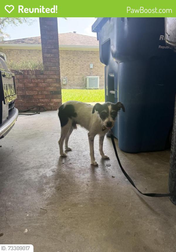 Reunited Male Dog last seen U-Haul and Fresh Pickins Kaliste Saloom, Lafayette, LA 70508