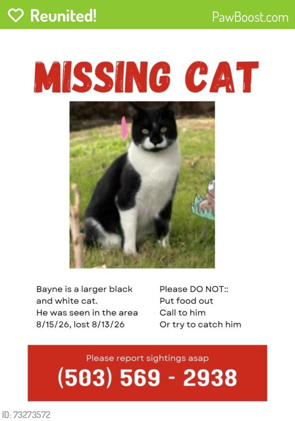 Reunited Male Cat last seen Hawthorne Ave SE, Salem, OR 97301