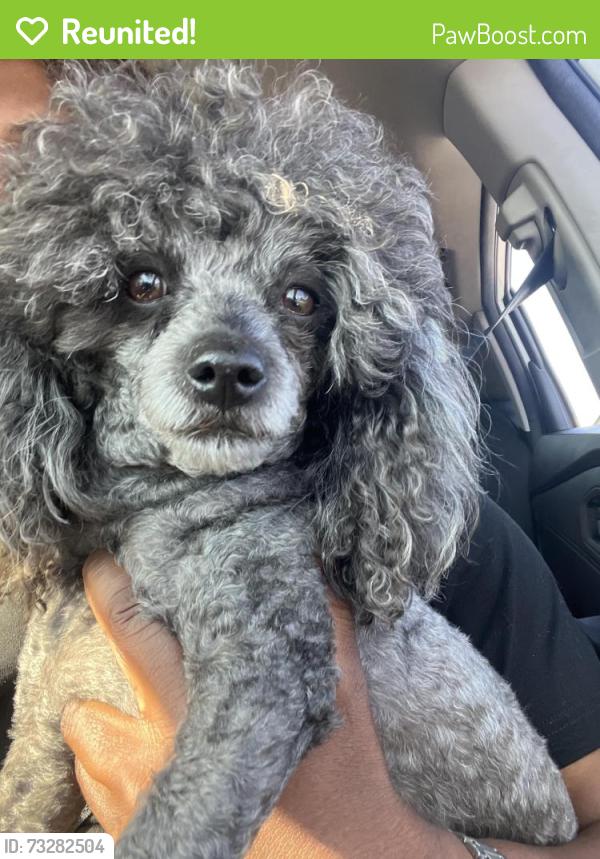 Reunited Male Dog last seen Roaming apmt Complex, Spotsylvania Courthouse, VA 22553