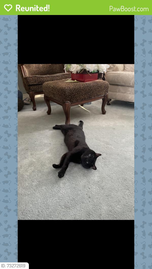 Reunited Male Cat last seen Thickson and Manning, Whitby, ON L1N 3R7