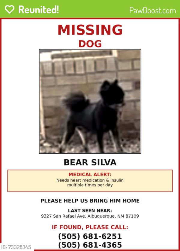 Reunited Male Dog last seen San Francisco and Ventura, Albuquerque, NM 87109