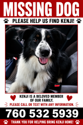 Reunited Male Dog last seen Cougar Pass, Escondido, CA 92026