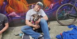Lost Female Dog last seen Near NE 16th Ave, Portland, OR 97232, Portland, OR 97232