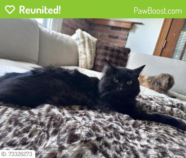 Reunited Male Cat last seen Garfield Ave and W Seventh St, Belvidere, IL 61008