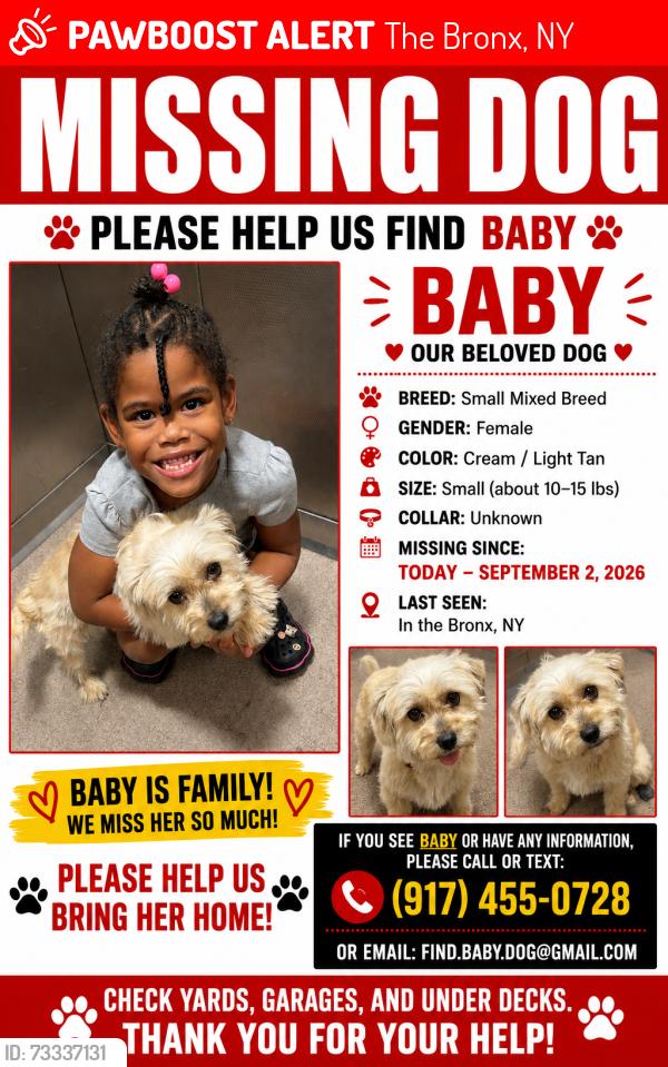 Lost Female Dog last seen Prospect avenue, The Bronx, NY 10462