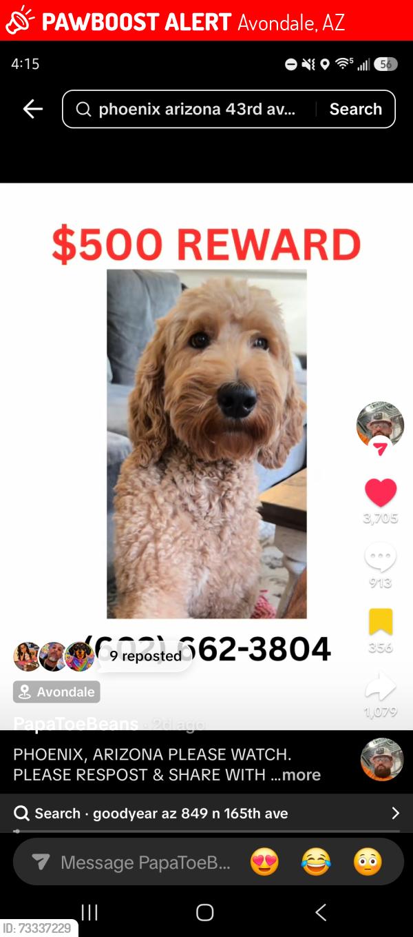 Lost Male Dog last seen 119th Ave & McDowell Rd, Avondale, AZ 85323