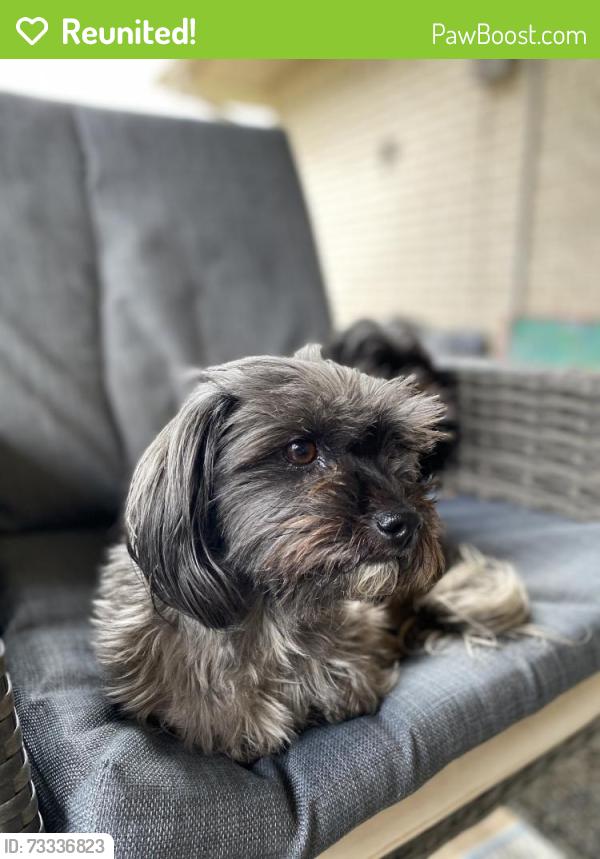 Reunited Female Dog last seen Todd Farm & Fairwood Century Oaks Subdivision, Elgin, IL 60123