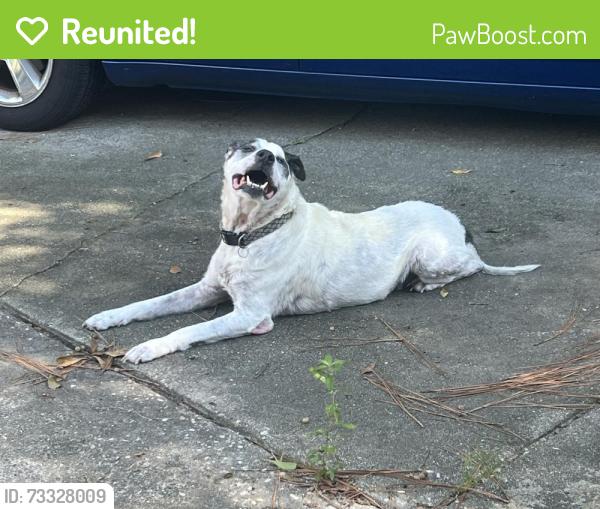 Reunited Male Dog last seen Aaran Lake West, Fayetteville, NC 28304