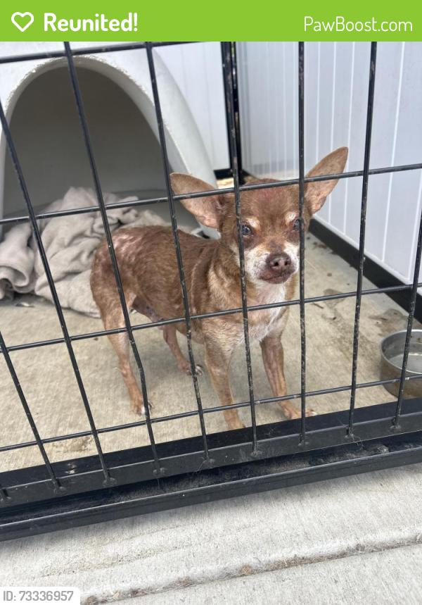 Reunited Male Dog last seen Hilby, Seaside, CA 93955