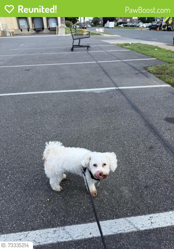 Reunited Male Dog last seen Near Reach St, Philadelphia, PA 19111, USA, Philadelphia, PA 19111