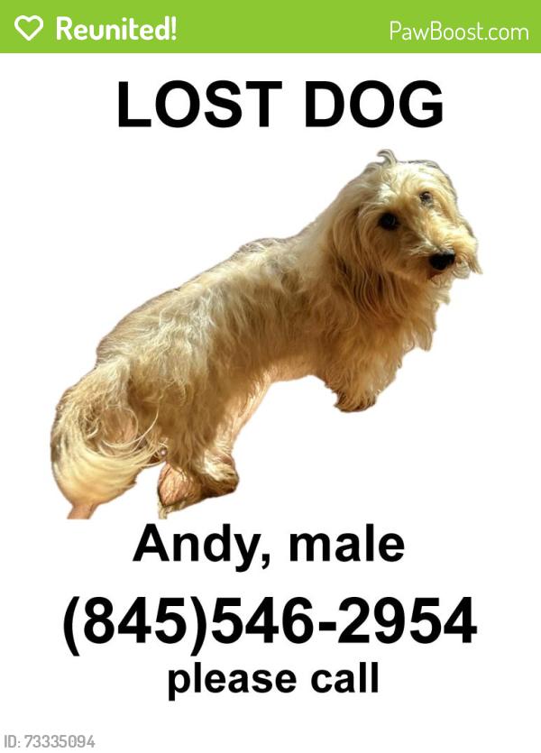 Reunited Male Dog last seen Friendly Honda on rt44, Poughkeepsie, NY 12603
