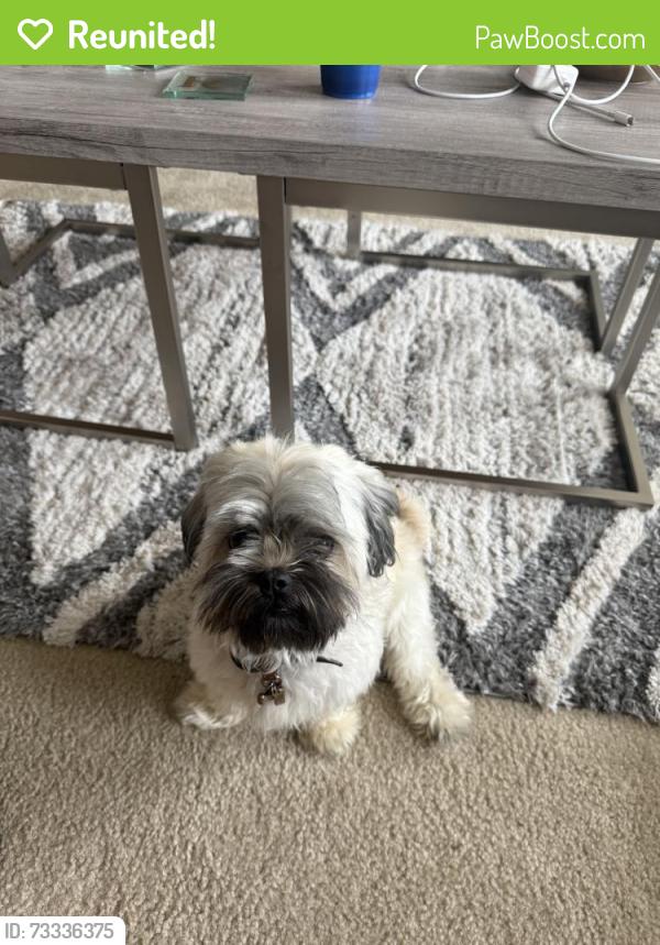 Reunited Female Dog last seen Anderwood Arbor Ln, Pearland, TX 77584, USA, Pearland, TX 77584