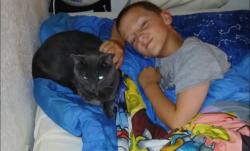 Reunited Male Cat last seen Davey rd and Us1 near iron ax, South Daytona, FL 32119