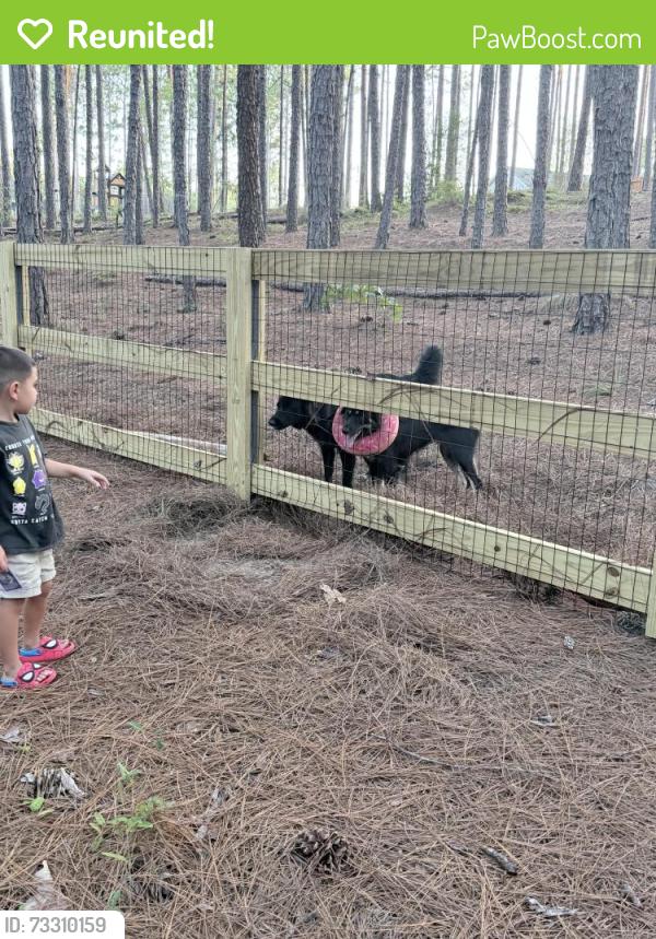Reunited Female Dog last seen Elliot bridge, Fayetteville, NC 28311