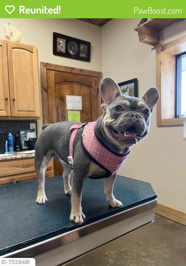 Reunited Female Dog last seen stork rd & 812, Del Valle, TX 78617