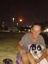 Reunited Female Dog last seen Nw Pennsylvania, Oklahoma City, OK 73134