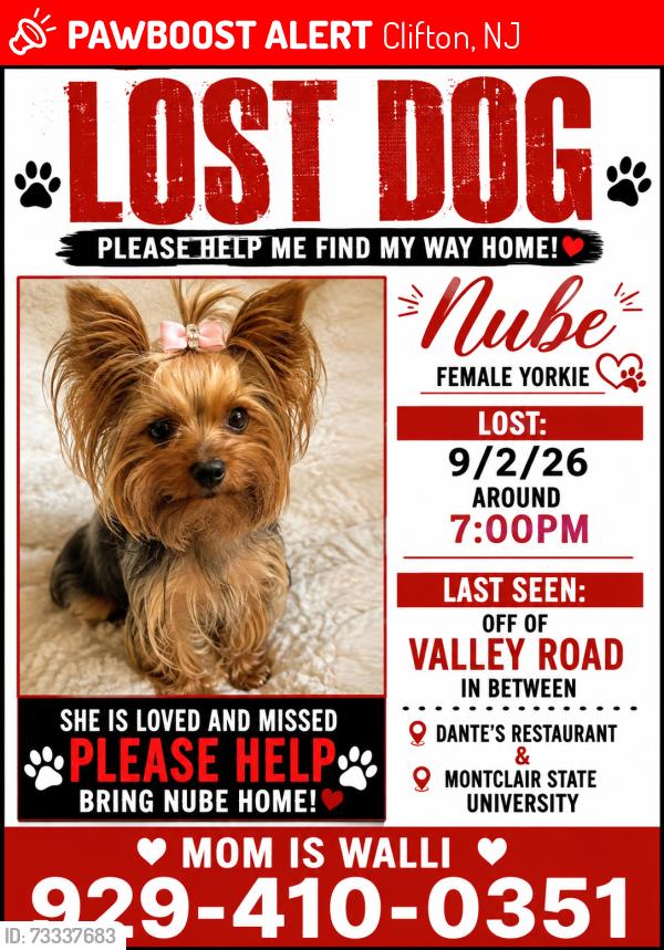 Lost Female Dog last seen Valley rd, Clifton, NJ by Dante's restaurant, Montclair University, Clifton, NJ 07013