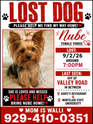 Lost Female Dog last seen Valley rd, Clifton, NJ by Dante's restaurant, Montclair University, Clifton, NJ 07013
