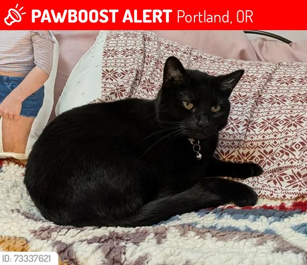 Lost Female Cat last seen NE 113th and Shaver, Portland, OR 97220