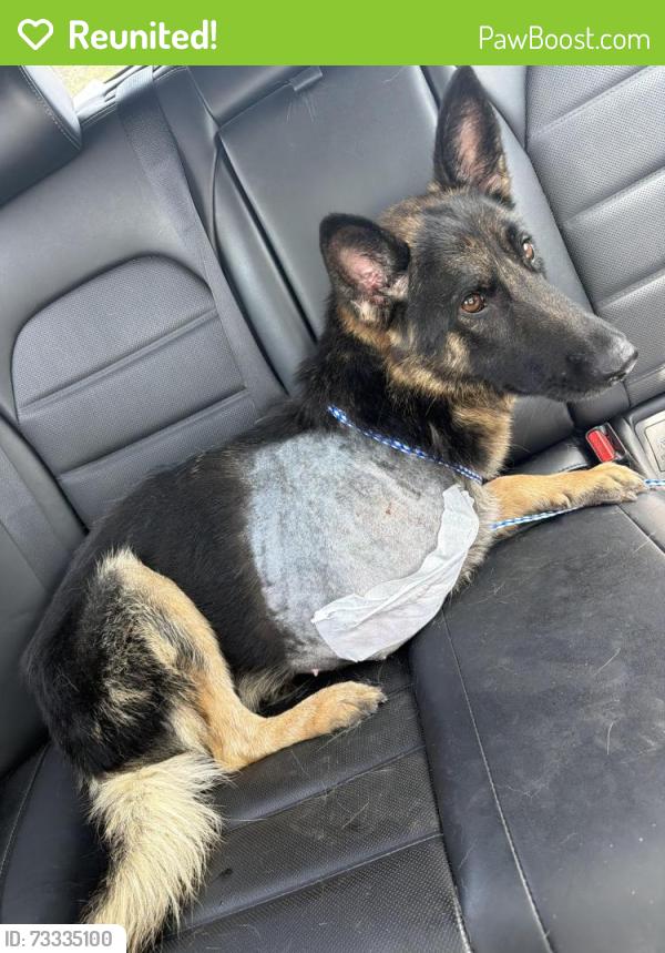 Reunited Female Dog last seen S northern blvd, Independence, MO 64052