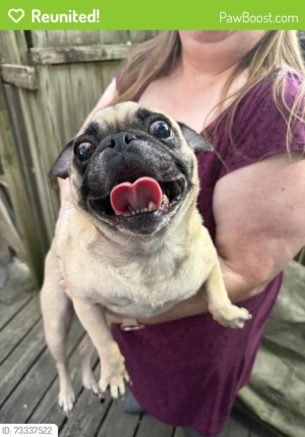 Reunited Female Dog last seen Near W Nickell Ave, Independence, MO 64050, USA, Independence, MO 64050