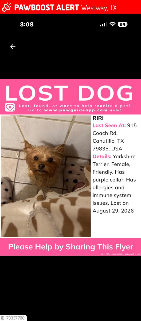 Lost Female Dog last seen Coach rd, Westway, TX 79835