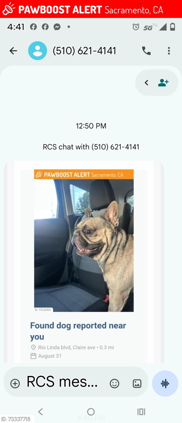 Lost Male Dog last seen Rio Linda boulevard and Clare avenue, Sacramento, CA 95838