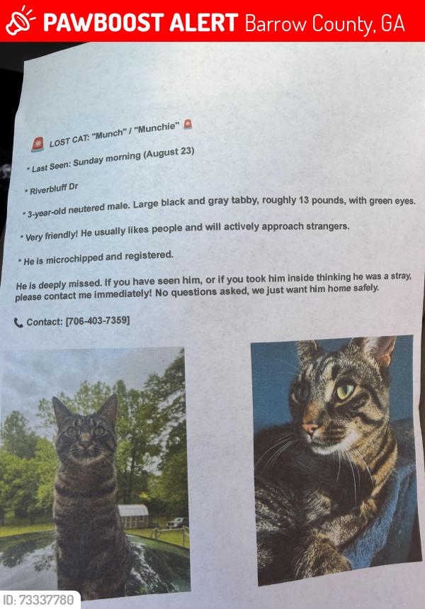 Lost Male Cat last seen Hancock bridge rd, Barrow County, GA 30680