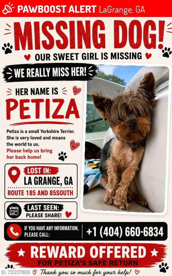Lost Female Dog last seen Salem rd , lagrange ga , 185 and 85soutj, LaGrange, GA 30241