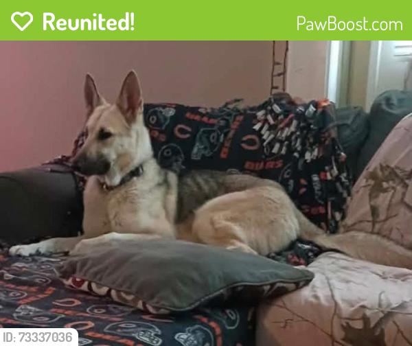 Reunited Female Dog last seen When on 22ave by the lake, Kenosha, WI 53140