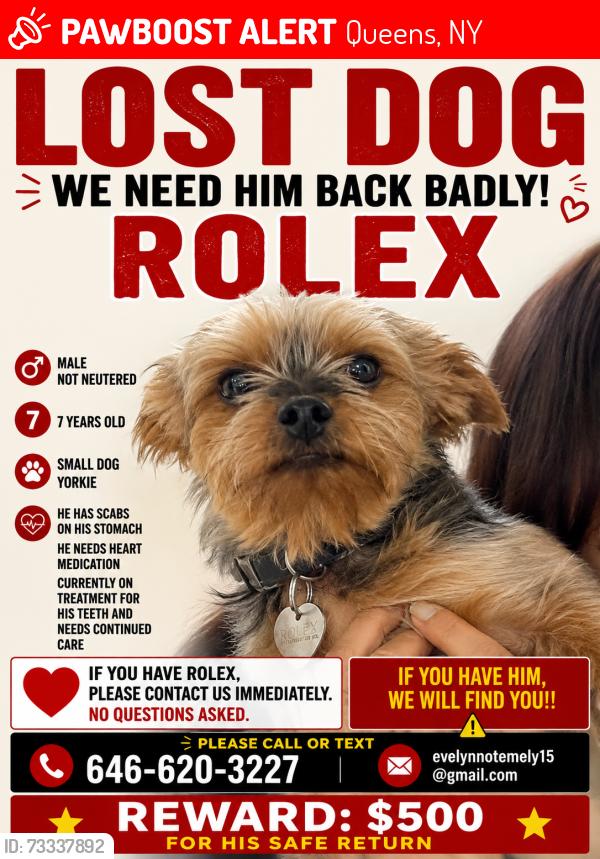 Lost Male Dog last seen 35th and 153rd st 11354, Queens, NY 11354
