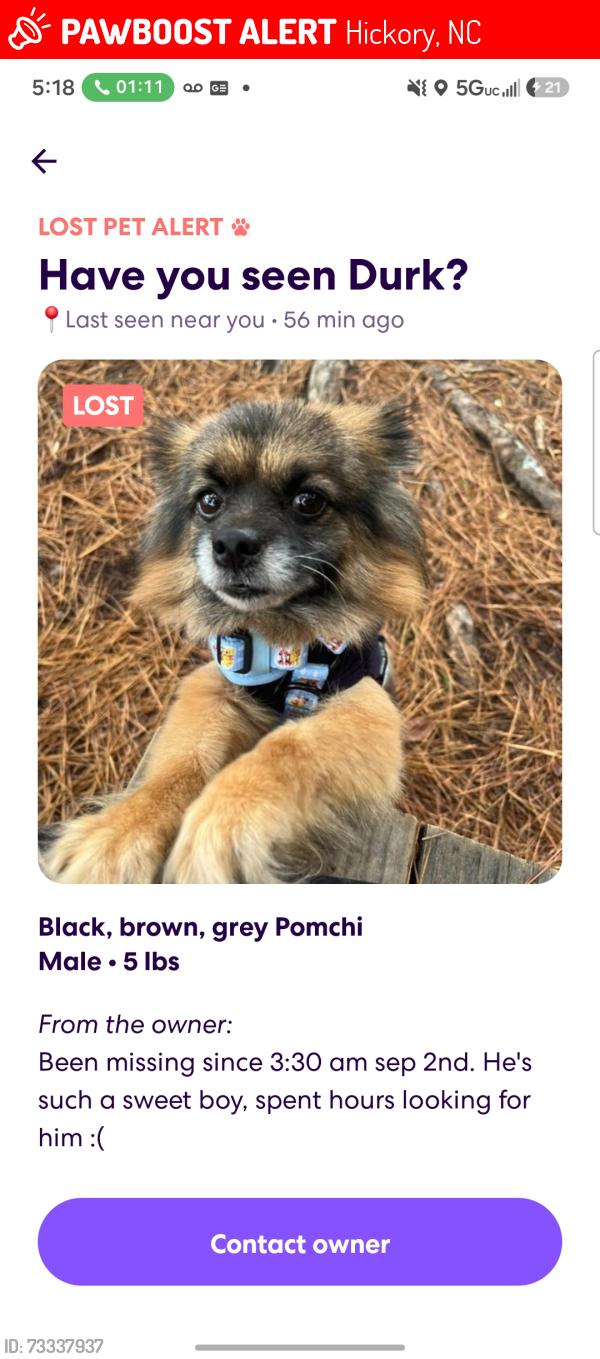 Lost Male Dog last seen Rink Dam, Mother Hubbard Rd, Hickory, NC 28601
