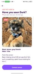Lost Male Dog last seen Rink Dam, Mother Hubbard Rd, Hickory, NC 28601