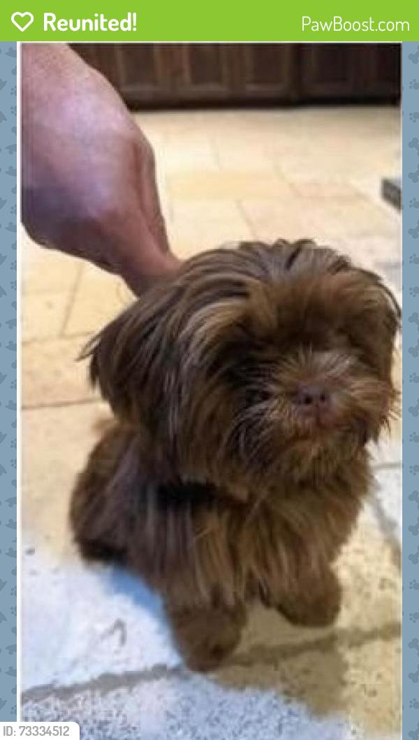 Reunited Female Dog last seen E 51st St S and 165th E Ave, Broken Arrow, OK 74012