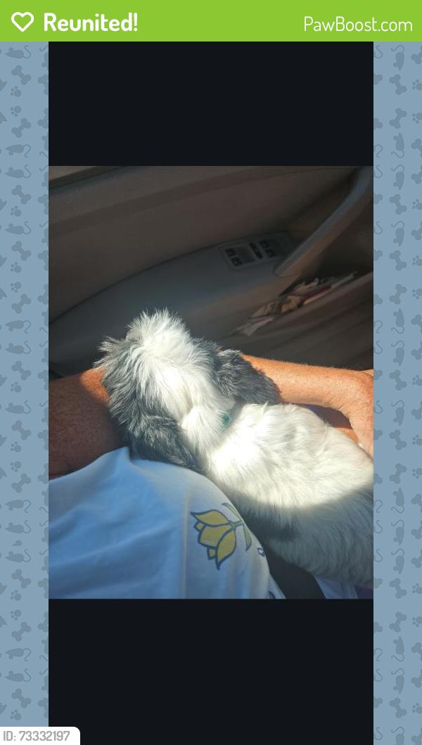 Reunited Male Dog last seen Near shannon rd apt 10e, Durham, NC 27707